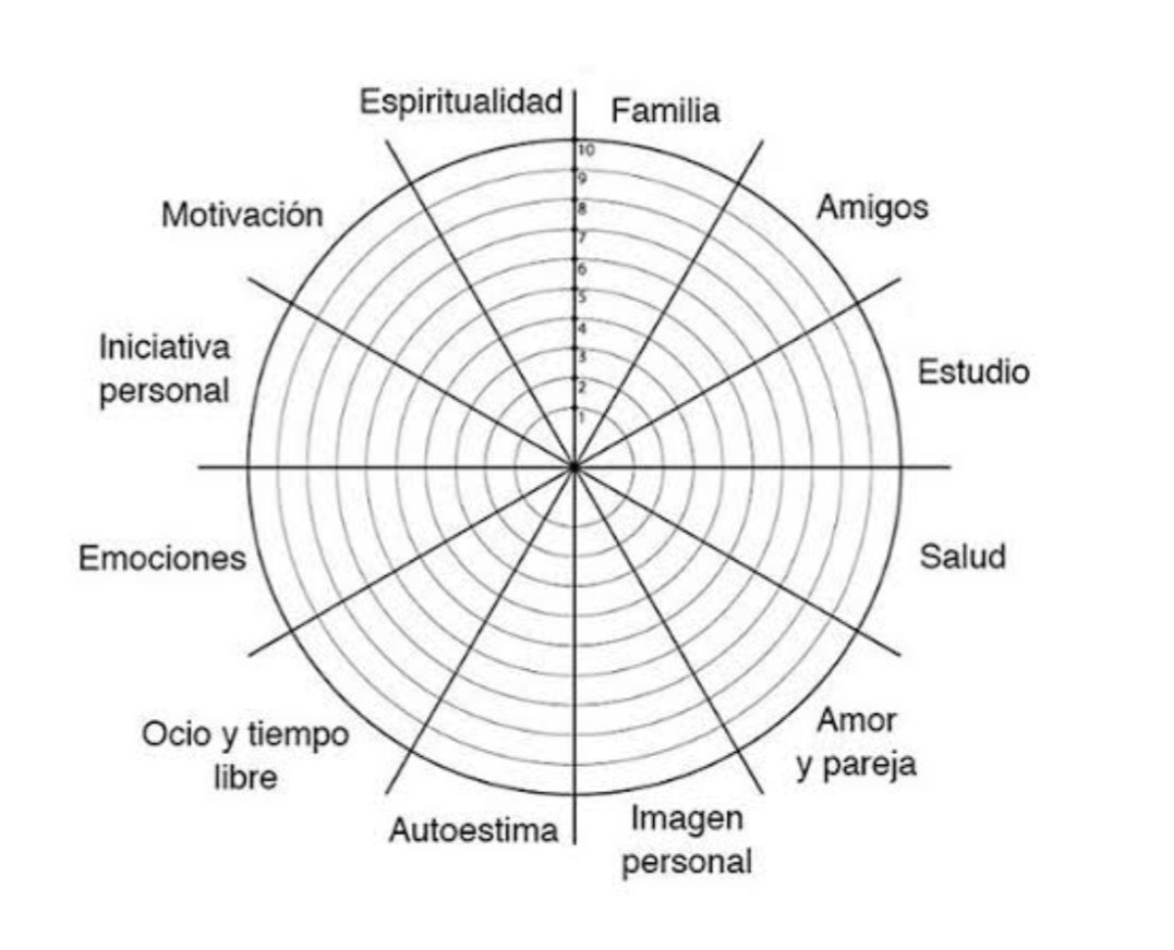 La rueda de la vida Mami Manie La rueda de la vida Mami Manie